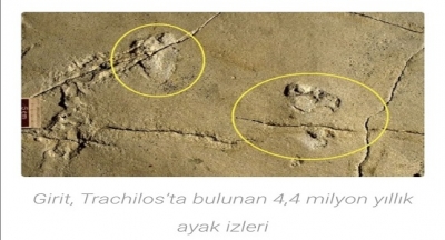 İnsan oğlunun en eski ayak izleri bulundu