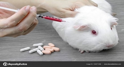 İtalya'da yapılan bir araştırmada, düzenli olarak aspartam verilen farelerde tümörlerin ortaya çıktığı gözlemlendi.