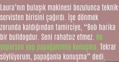 Kadın İşe Giderken Evdeki Tamirciye Köpeğinin Zararsız Olduğunu Ama Papağana Dikkat Etmesi Söyledi