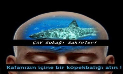 Kafanızın içine Bir Köpek Balığı Atın !!!!!!!!!