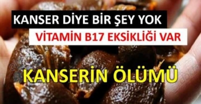 Kanser Diye Bir Şey Yok: Nasıl mı?