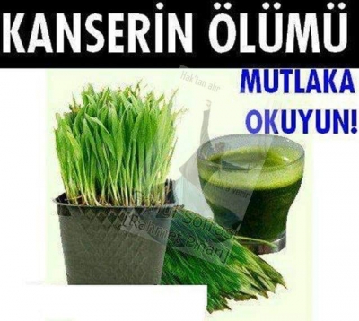 KANSER HASTALIK DEĞİL