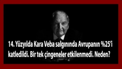 Kara Veba salgını Avrupa’da yaşayanların yüzde 25’ini katlederken, tek etkilenmeyenler çingenelerdi.