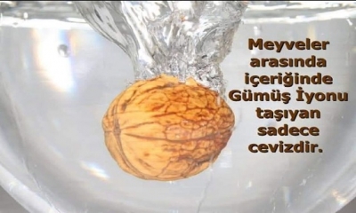 KARA VEBA ve GÜMÜŞ ! 