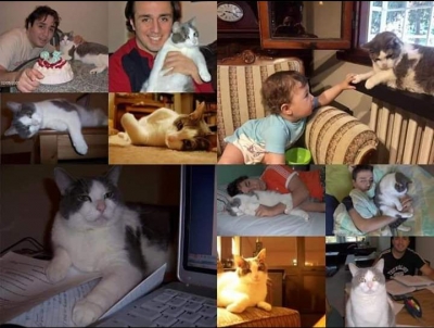 Kediler Gerçekten Nankör mü?  Gençliğimle Giden O Güzel Kedi…