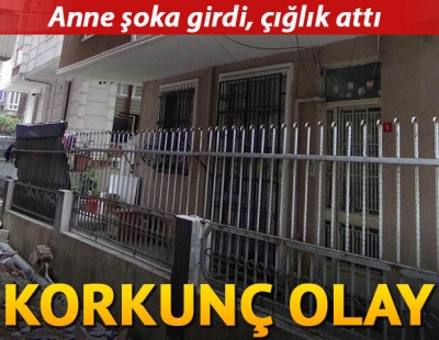 Korkunç Olay: 6 Aylık Bebek 4 Yaşındaki Abisinin Kollarından Balkondan Düştü, Anne Durumu Görünce