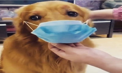 Korona virüs günlerce enfeksiyon belirtisi göstermeyebilir: Enfekte Olup Olmadığınızı Bu Basit Yöntem Sayesinde Anlayabilirsiniz