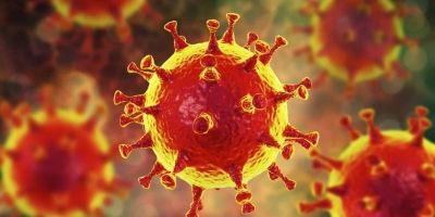 Korona vücudun bu noktasında yuvalanıyor. Bu özelliği zayıf olanlar koronayı hafif atlatıyor.