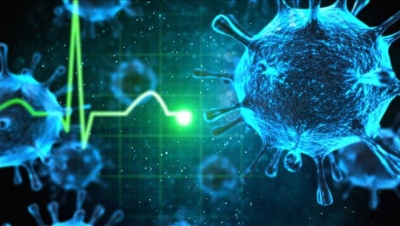 Koronavirüsü Kabusu Bitmeden Şimdide Başka Bir Virüs Ortaya Çıktı İddiası. 