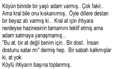 Köyün birinde bir yaşlı adam varmış. 