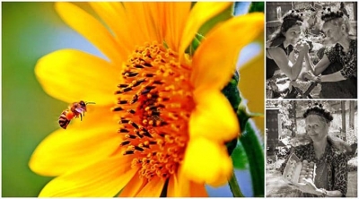 KRALİÇE ARI’nın nefes kesen sırları: 