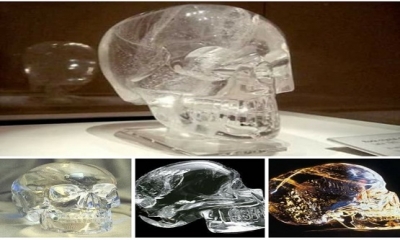 Kristal Kuru Kafaların Sırları