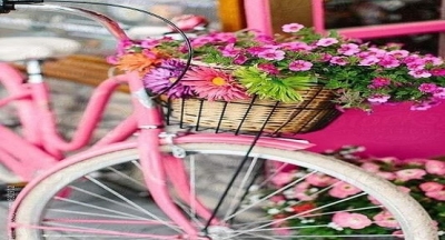 Küçük bir kasabanın dört ayrı mahallesi varmış. 