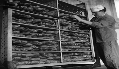 LANETLİ EKMEK FRANSA 1951