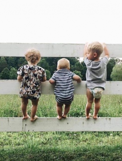 Meksika’da çölde yetişen bir tür kaktüs var.