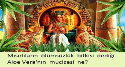 Mısırlılar yüzyıllardır ona 