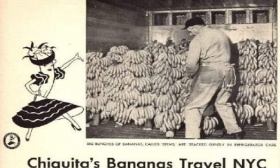 Muzun Acımasız Yolculuğu