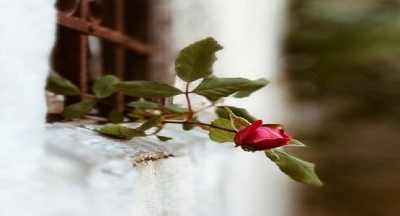 New York’ta, Brooklyn Köprüsü üzerinde dilenen kör bir dilenci, bir şairin dikkatini çeker