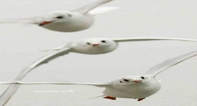 Önce evlendiğimizde hayatın daha iyi olacağına inandırırız kendimizi