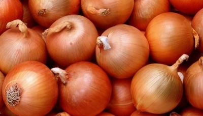 Oturma Odasına Soğan Koyunca 