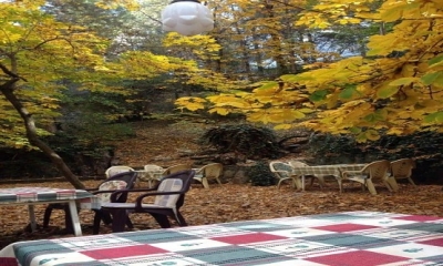 PAPAZIN BAĞI’NIN HİKAYESİ