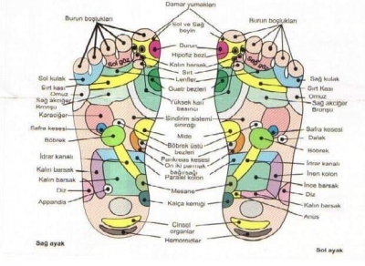 Sağlığınız İçin Ayaklarınıza Dokunmayı Öğrenin! Nasıl mı?