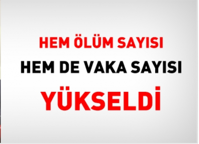 Sağlık Bakanı Fahrettin Koca: 15 hastamızı daha kaybettik !