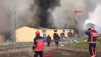 Sakarya'da 150 Çalışanı Olan Havai Fişek Fabrikasında Patlama:  Korkunç Görüntüler