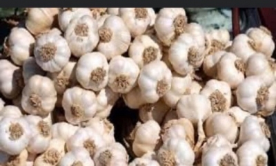 SARIMSAK KOKUSUNU NASIL GİDEREBİLİRSİNİZ