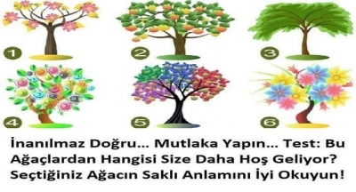 Seçtiğiniz Ağaç Sizin iç Dünyanızı Ortaya Çıkaracak
