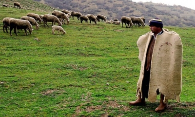 SİZİN KÖYE KAÇ DAKİKAYA GİDERİM?