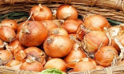 SOĞAN YEMEK İÇİN 10 ÖNEMLİ SEBEP !!!!