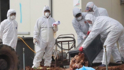 Son Dakika: Korona Virüsü Kabusu Hala Devam Ederken Yeni Bir Salgın Hastalık Patlak Verdi