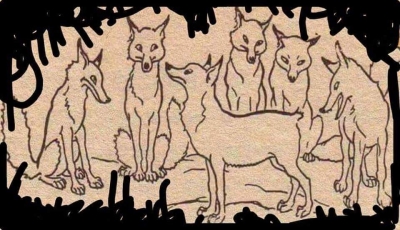 Tilkinin kuyruğu kayaya sıkışmış ve kuyruğunu kesmek zorunda kalmış.