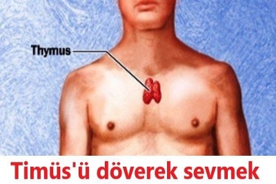 TİMÜSÜ EŞEK SUDAN GELİNCEYE KADAR DÖVMEK LAZIM,