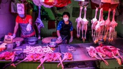 Tüm Dünyanın Kabusu Olan Corona Salgınının Başlangıç Üssü Çin Yine Akıllanmıyor