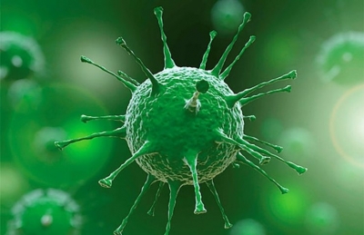 Uzmanlar Koronaya Karşı En etkili Silahı Açıkladı 