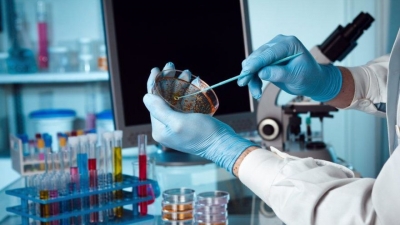 Uzmanlar yeni salgın tehdidini açıkladı: Chapare virüsü