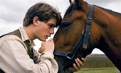 Üzücü Bir Gerçek: Bir At Sakatlandığında Neden Ölüme Mahkum Edilir?