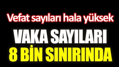 Vaka Sayılarındaki Artış Devam Ediyor. İşte Korkutan Tablo