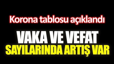 Vaka ve vefat sayılarında artış var