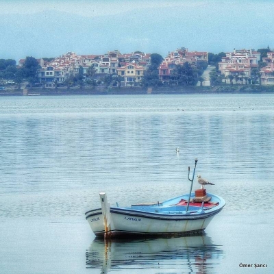  YAŞANMIŞ GERÇEK HİKAYE..