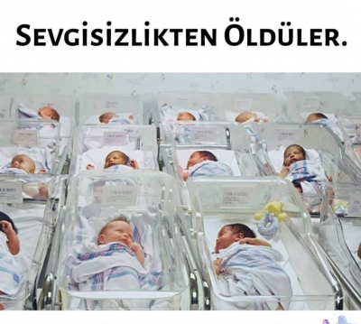 Yıl 1944. 40 yeni doğmuş bebekle akıl almaz bir deney yapılıyor. Bebekler iki gruba ayrılıyor.