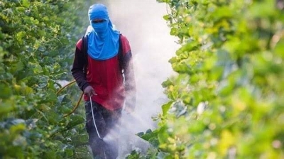 Zehir Yiyoruz Ve Bunun Farkında Bile Değiliz