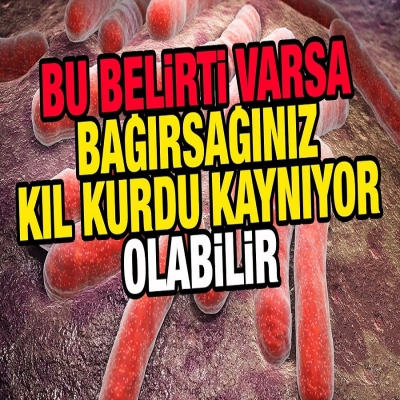 BAĞIRSAĞINIZ KIL KURDU KAYNIYOR OLABİLİR! Kıl kurdu nasıl olur? Kıl kurdu tedavi yöntemleri neler?
