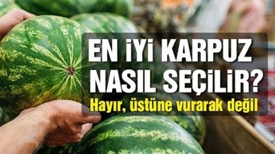 İyi Karpuz Nasıl Seçilir? İşte Karpuz Seçmenin Püf Noktaları..