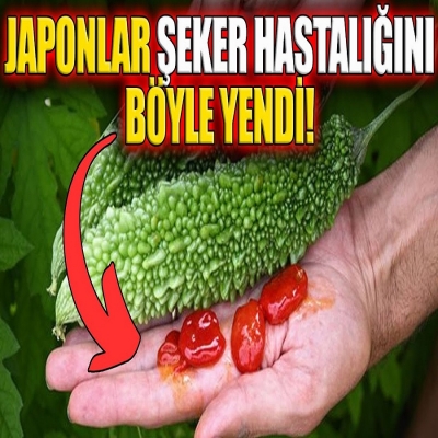 Japonlar Şeker Hastalığını Böyle Yendi!