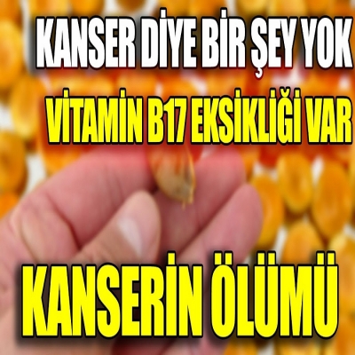 KANSER Diye Bir Şey YOK, B17 Vitamin Eksikliği VAR
